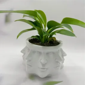 3D Multi Face Planter Garden Flowerpot